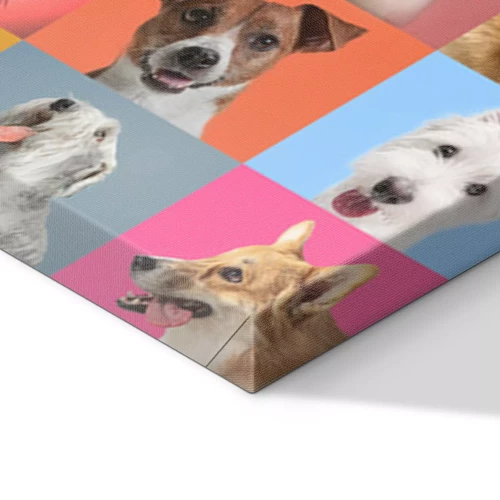 Visualisation du produit