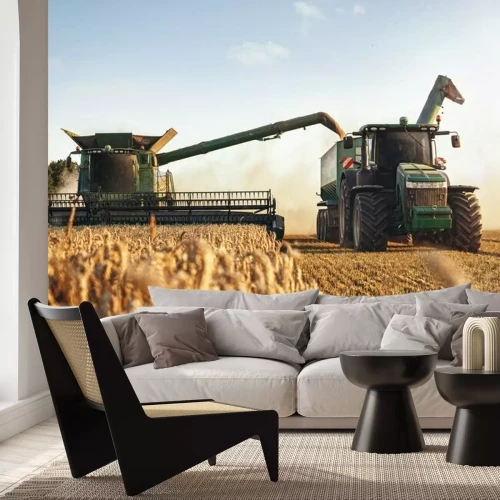 Papier peint  Mähdrescher und Traktor bei der Ernte auf einem Weizenfeld