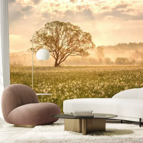 Papier peint  Amazing nature landscape with single tree and flowering meadow of white wild growing narcissus flowers in morning dew at sunrise. Daffodil valley, nature reserve near Khust, Transcarpathia, Ukraine