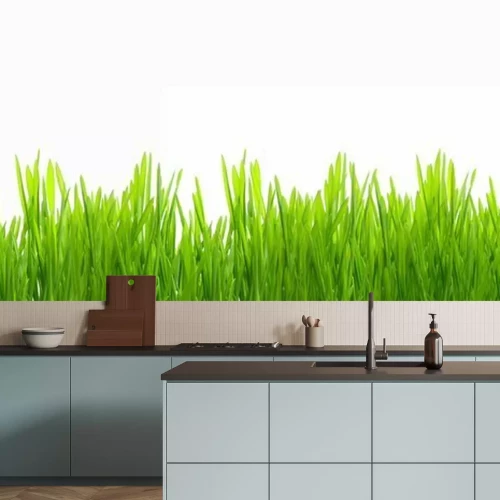 Papier peint  De l'herbe fraîche et verte