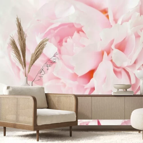 Papier peint  Pivoine rose macro