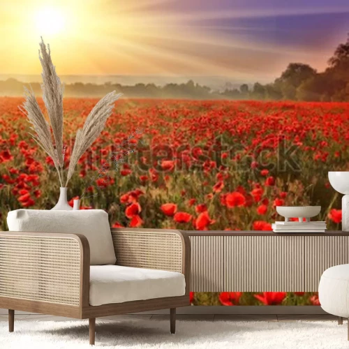 Papier peint  Champ avec des coquelicots rouges