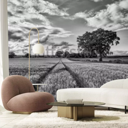 Papier peint  Champ de noir et blanc