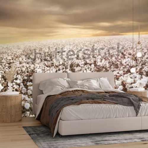 Papier peint  Champ de fleurs blanches