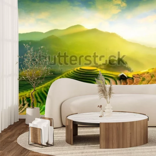 Papier peint  Rizière