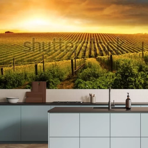 Papier peint  Champ et soleil en style rétro