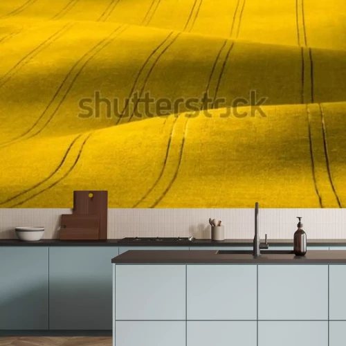 Papier peint  Paysage printanier champ jaune de colza nature