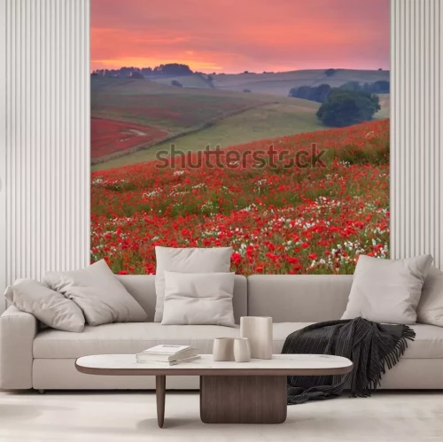 Papier peint  Champ de fleurs au coucher du soleil