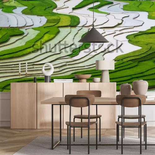 Papier peint  Champ de riz au Vietnam