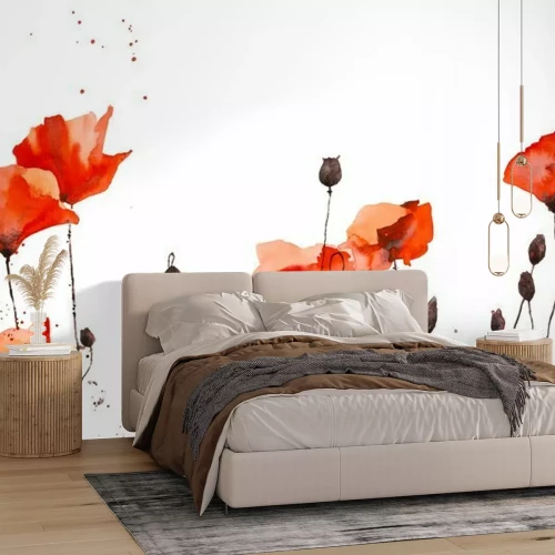 Sticker  Watercolor pattern with wild red poppies on white background.