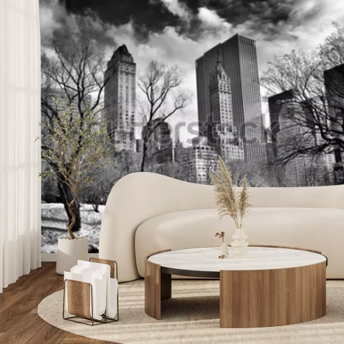 Papier peint  Pont de Gapstow à Central Park en hiver