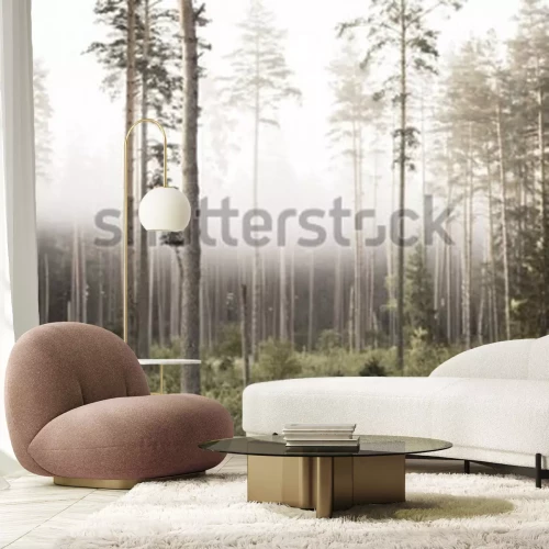 Papier peint  Forêt dans un brouillard blanc