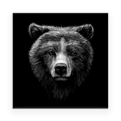 Poster  Portrait d'un ours sur fond noir