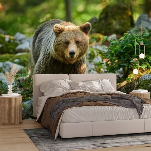 Papier peint  Un ours dans les montagnes