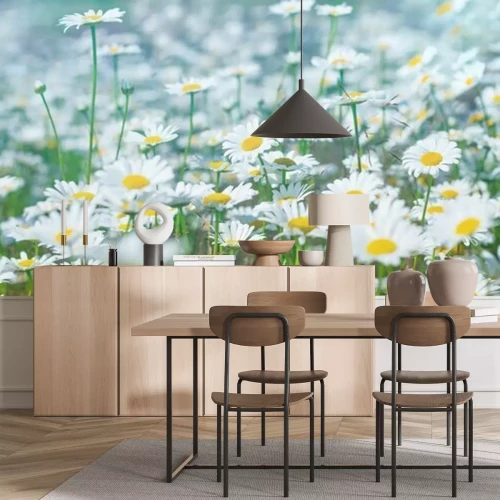 Papier peint  Gazon rempli de pâquerettes