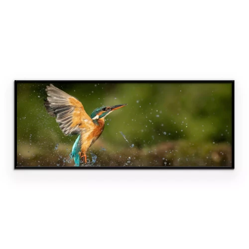 Visualisation du produit