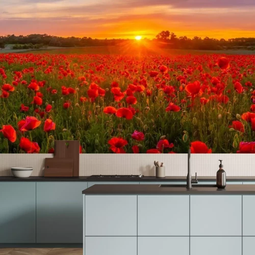 Papier peint  Prairie avec des coquelicots au coucher du soleil
