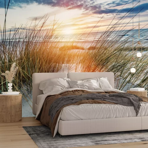 Papier peint  Dunes au bord de la mer Baltique au coucher du soleil