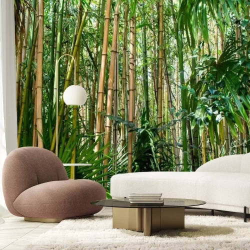 Papier peint  Paysage tropical de forêt de bambous