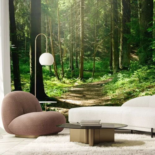 Papier peint  Chemin pittoresque dans la forêt