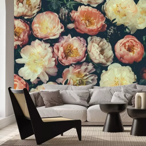 Papier peint  Des boutons de pivoine éclatants sur fond noir