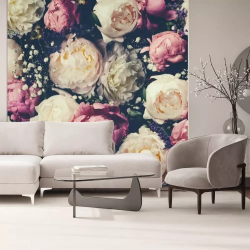 Papier peint  Pivoines et gypsophiles sur fond sombre