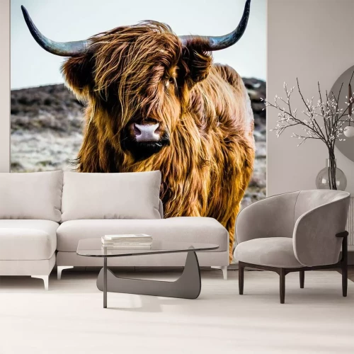 Papier peint  Animal debout sous le vent