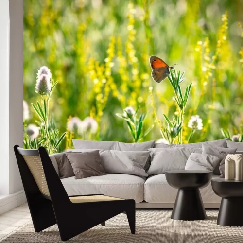 Papier peint  Papillon et fleurs dans une prairie