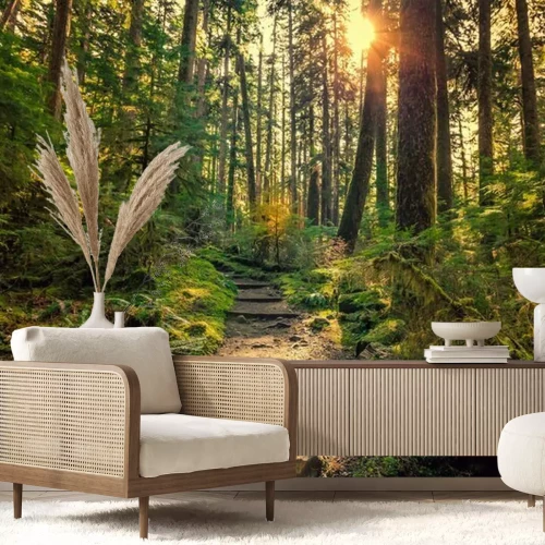 Papier peint  Olympic National Forest, Olympic National Park