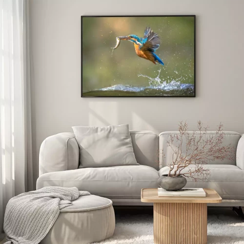 Visualisation du produit