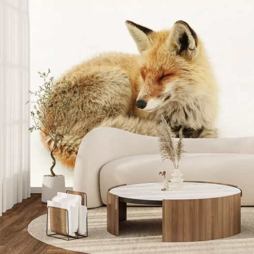 Sticker  Wild fox in natural winter habitat