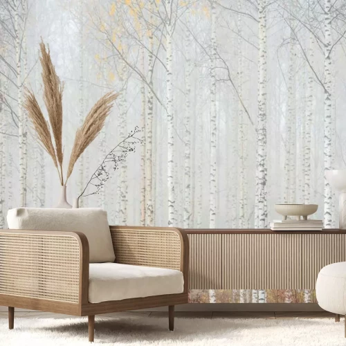 Papier peint  Forêt de bouleaux dans la brume paysage
