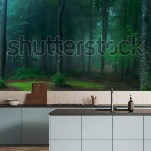 Papier peint  Panorama de la forêt dans le brouillard