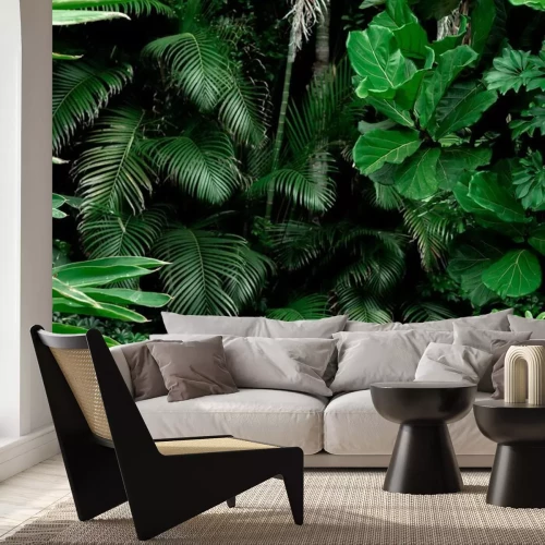 Papier peint  Les plantes vertes dans la forêt vierge