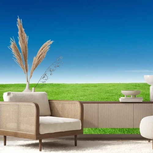 Papier peint  De l'herbe verte contre le ciel