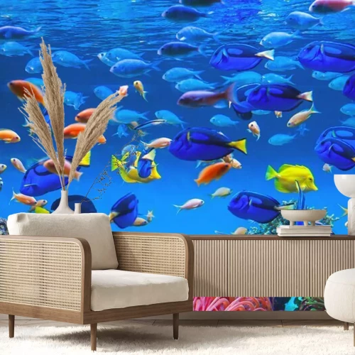 Papier peint  Poissons colorés des tropiques