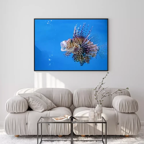 Visualisation du produit