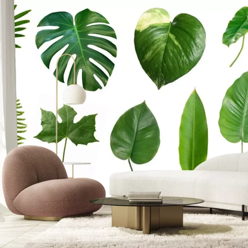 Sticker  Set of tropical green leaves isolated on white background.