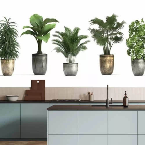 Papier peint  Plantes en pot vertes