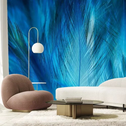 Papier peint  Texture macro de plumes bleues