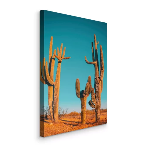 Tableau  Cactus dans un paysage désertique au coucher du soleil