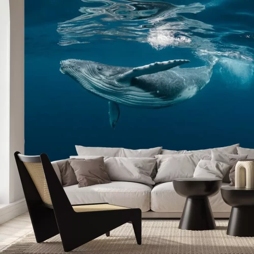 Papier peint  Poissons dans l'eau bleue