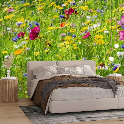 Papier peint  Prairie de fleurs colorées