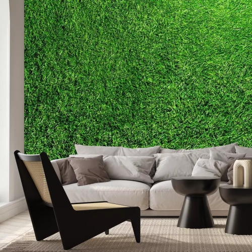 Papier peint  Pelouse verte