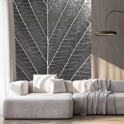 Sticker  Gros plan de la structure des feuilles en photographie noir et blanc