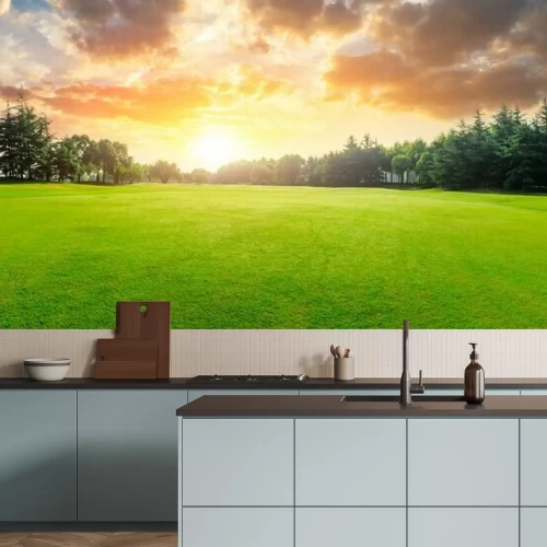 Papier peint  Herbe avec nuages et coucher de soleil