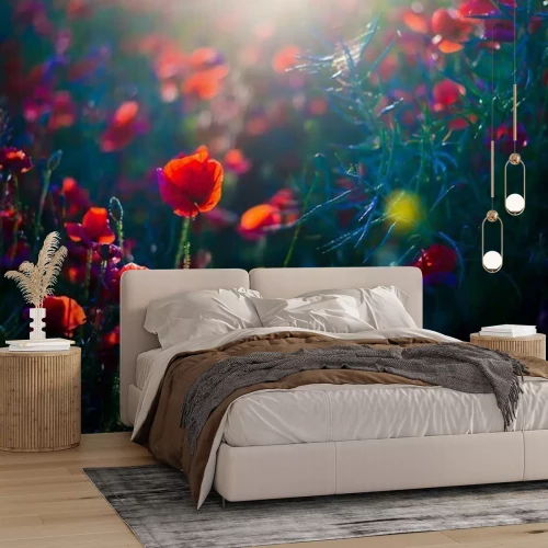 Papier peint  Summer landscape. Blooming poppy field at sunset. Flowers close-up. Latvia