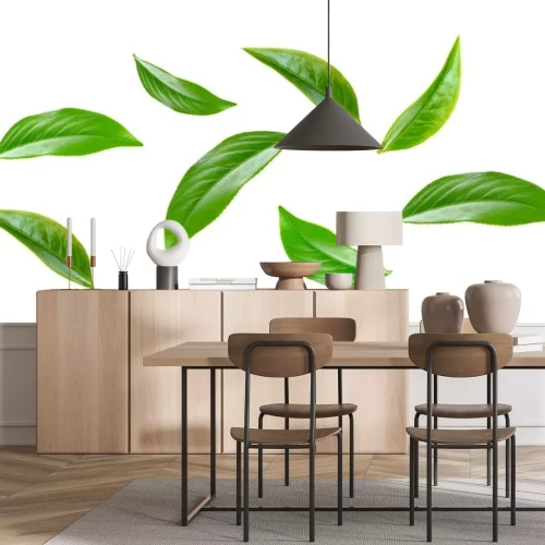 Sticker  Green tea leaf collection isolated on white background