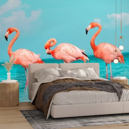 Papier peint  Flamant roses sur fond d'eau turquoise