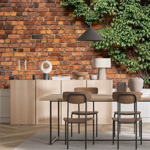 Papier peint  Lierre sur un mur orange